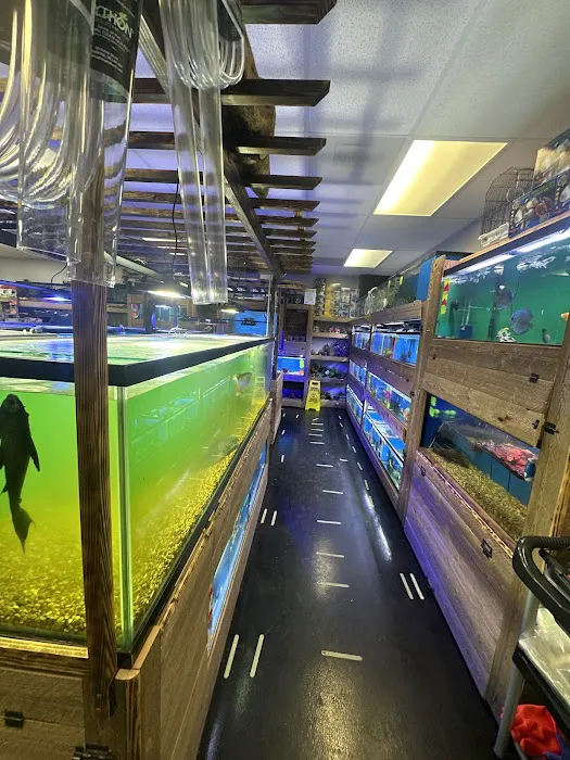 Twins Aquarium Picture 3
