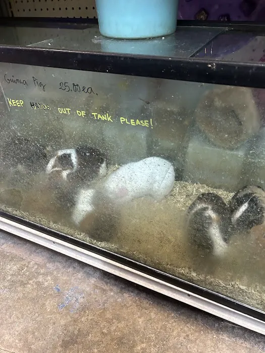 Twins Aquarium Picture 8