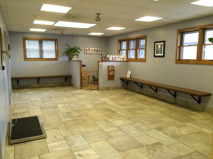 Level Up Fashion Picture 1