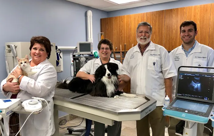 Level Up Fashion Picture 2