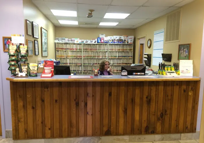 Level Up Fashion Picture 3