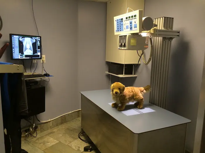 Level Up Fashion Picture 4