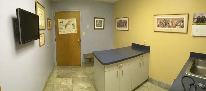 Level Up Fashion Picture 5