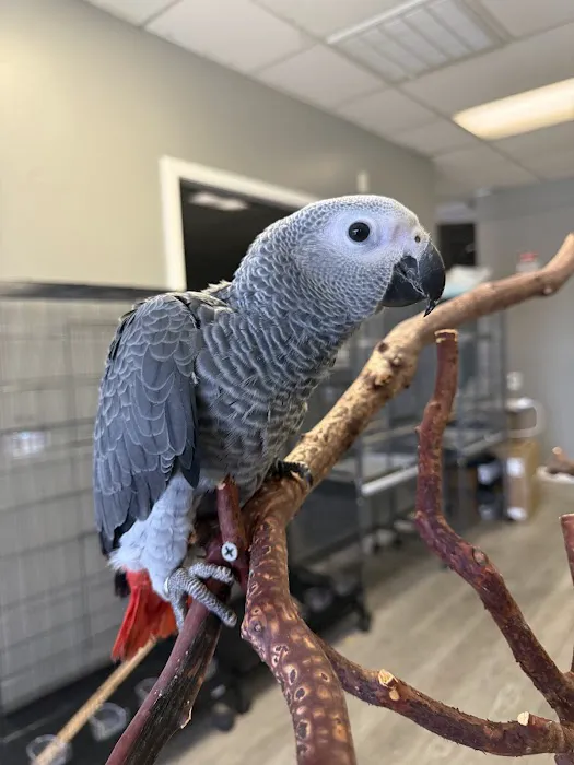 JPQ Exotics Pet Store Inc. Picture 3