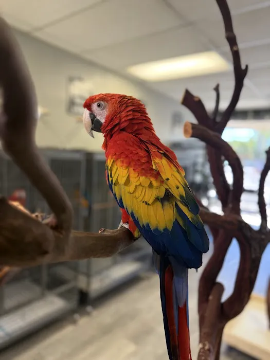 JPQ Exotics Pet Store Inc. Picture 2