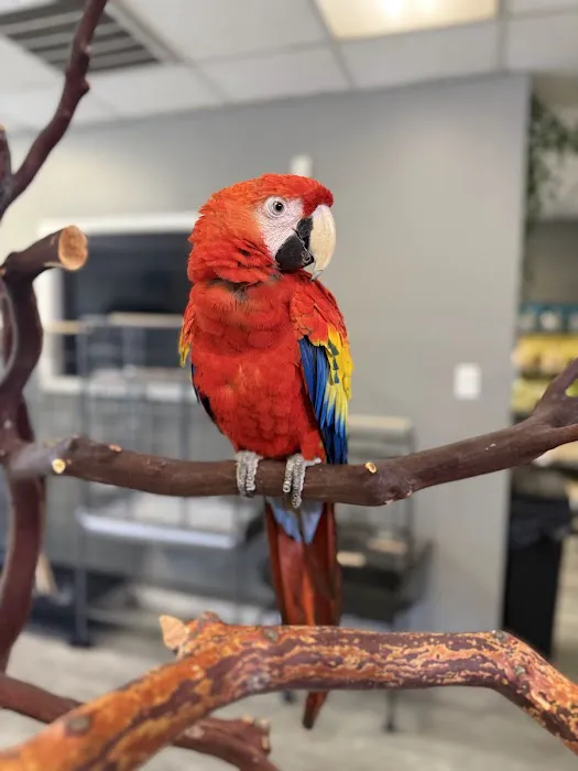 JPQ Exotics Pet Store Inc. Picture 5