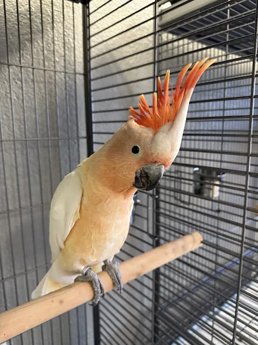 JPQ Exotics Pet Store Inc. Picture 6