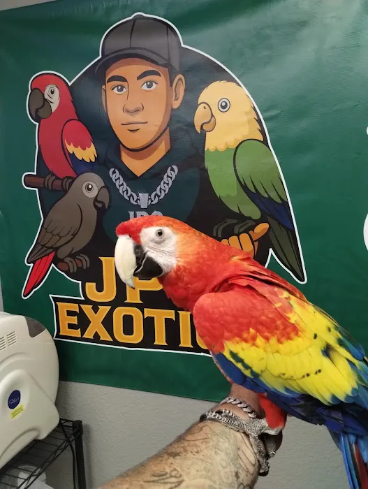 JPQ Exotics Pet Store Inc. Picture 7