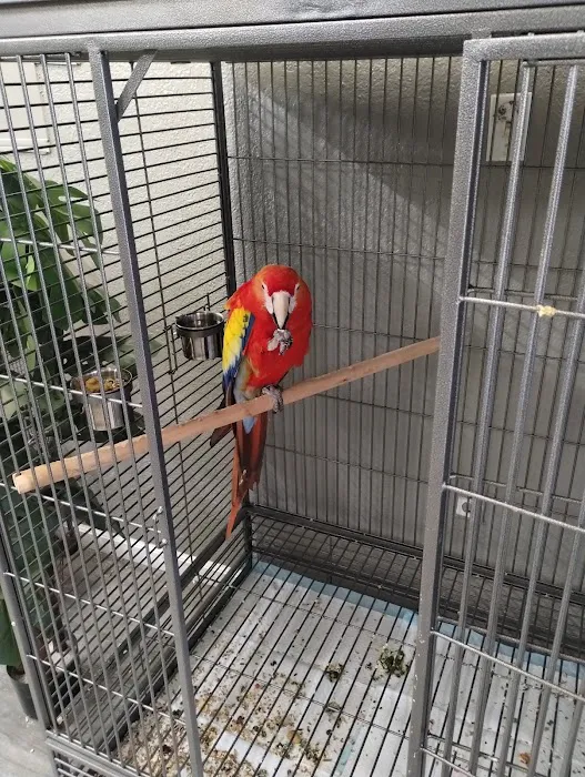 JPQ Exotics Pet Store Inc. Picture 9