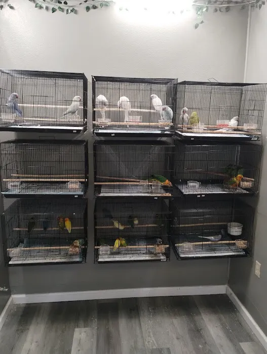 JPQ Exotics Pet Store Inc. Picture 10