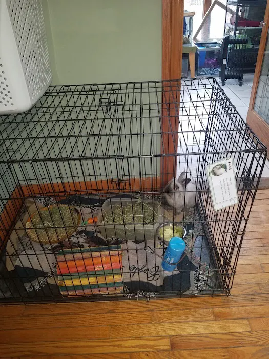 HousePaws Mobile Veterinary Service of Mount Laurel Picture 7