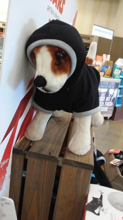 Petco Picture 7