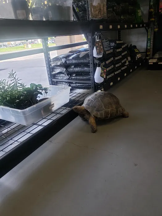 The Serpentarium, Inc. Picture 1