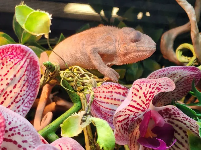 The Serpentarium, Inc. Picture 3