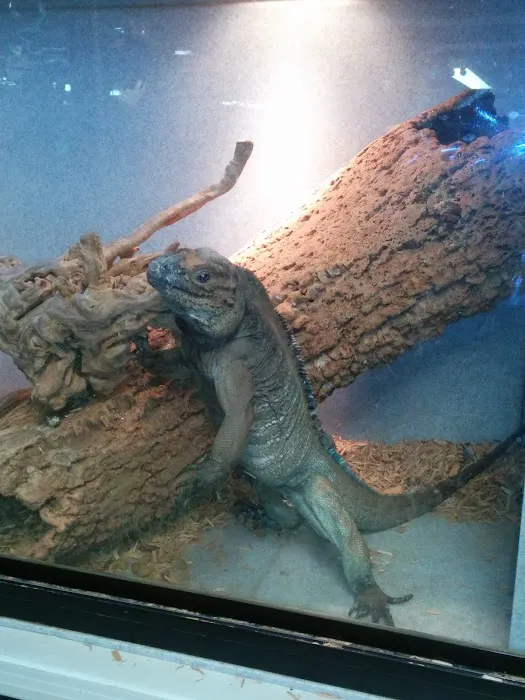 The Serpentarium, Inc. Picture 6