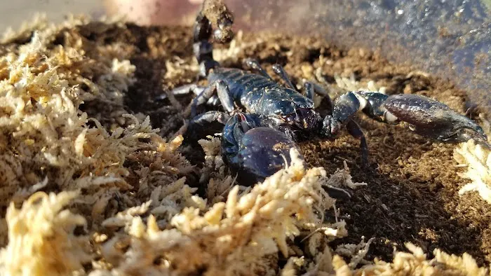 The Serpentarium, Inc. Picture 7