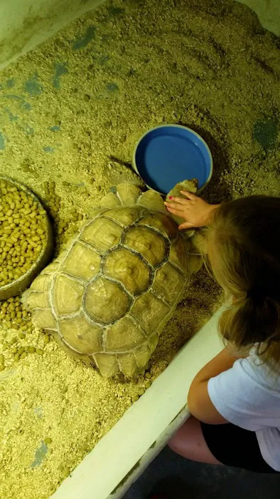 The Serpentarium, Inc. Picture 8