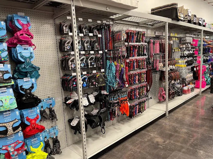 Buckingham Animal Hospital: Thompson Joseph E DVM Picture 1