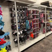 Buckingham Animal Hospital: Thompson Joseph E DVM ico