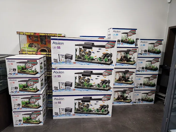 Buckingham Animal Hospital: Thompson Joseph E DVM Picture 2