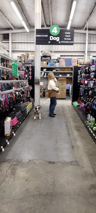 Pet Supplies Plus Lodi Picture 6