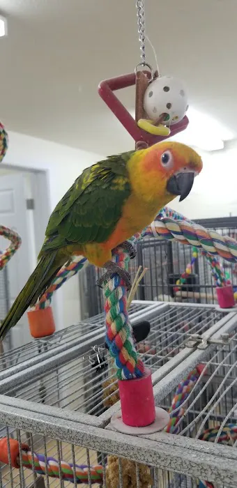 Feather Farm Picture 2