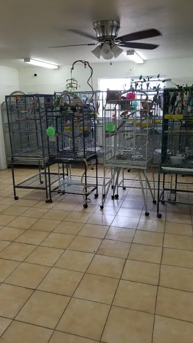 Feather Farm Picture 3