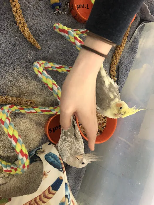 Feather Farm Picture 4