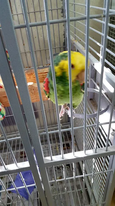 Feather Farm Picture 6