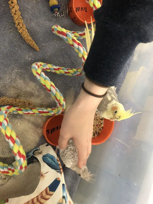 Feather Farm Picture 7