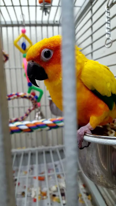 Feather Farm Picture 9