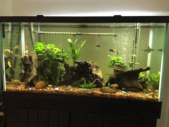 VIP Petcare Vaccination Clinic Picture 3