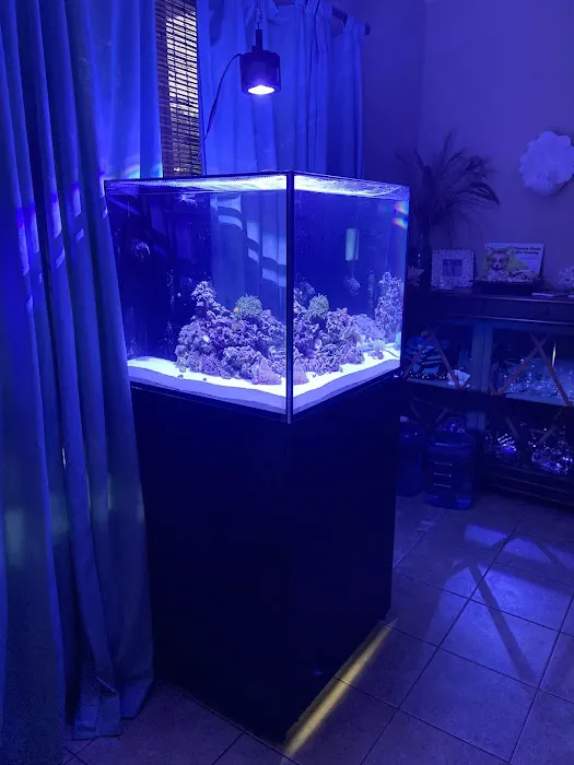 VIP Petcare Vaccination Clinic Picture 4