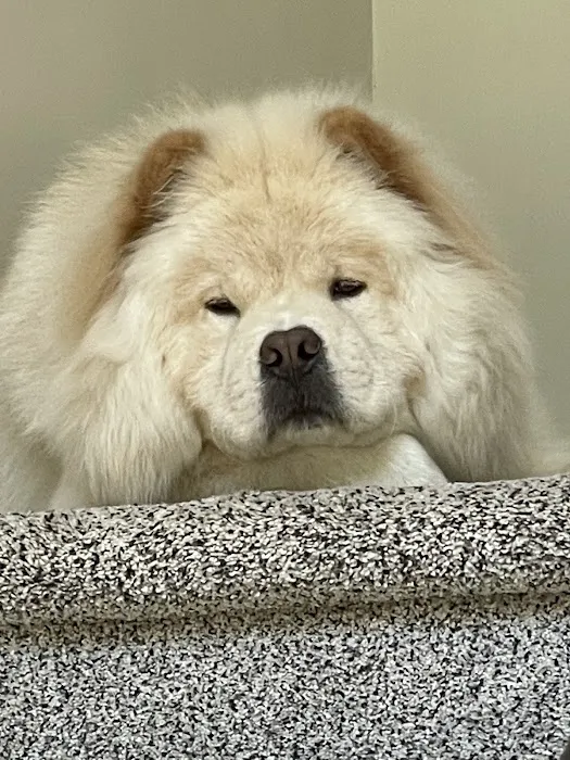 Richboro Veterinary Hospital Picture 3