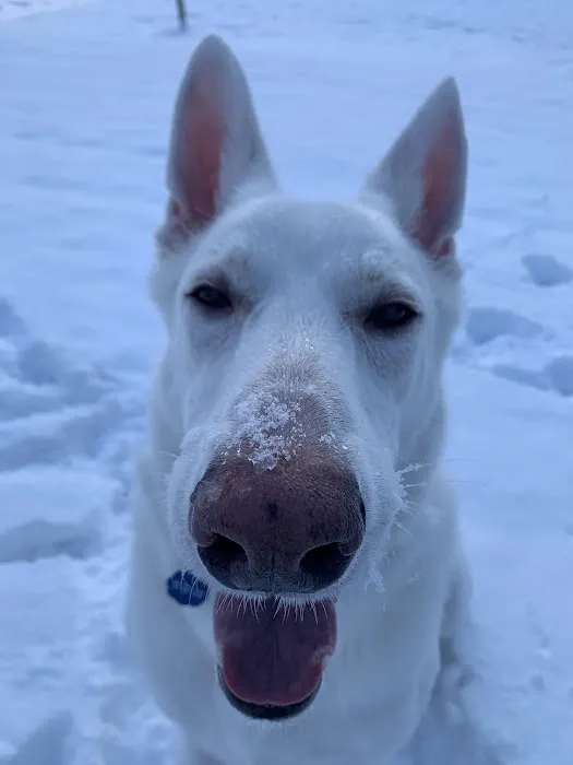 Richboro Veterinary Hospital Picture 5
