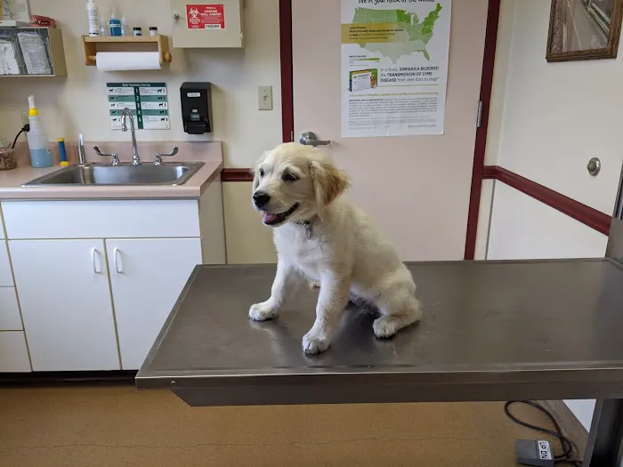 Richboro Veterinary Hospital Picture 7