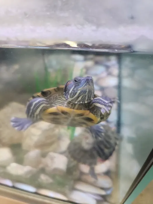 Vetco Vaccination Clinic Picture 2