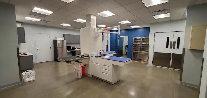 Wareham Animal Hospital Picture 3