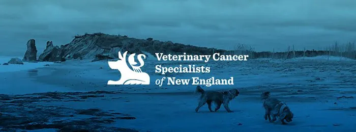 Veterinary Cancer Specialists of New England Picture 1