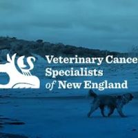 Veterinary Cancer Specialists of New England ico