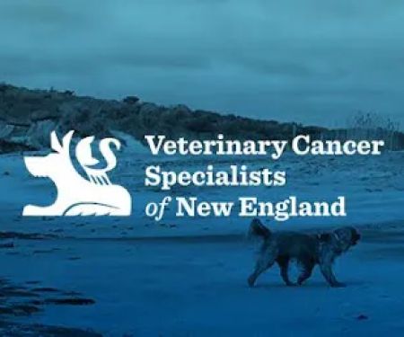 Veterinary Cancer Specialists of New England