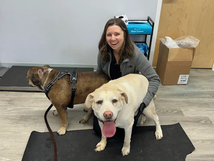 Veterinary Cancer Specialists of New England Picture 9