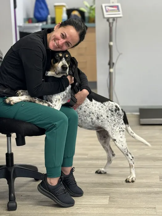 Veterinary Cancer Specialists of New England Picture 7