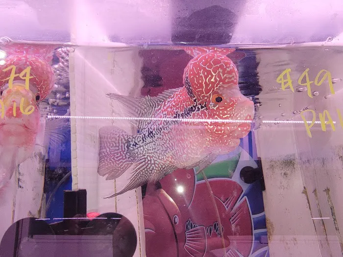 916 Aquatics Picture 3