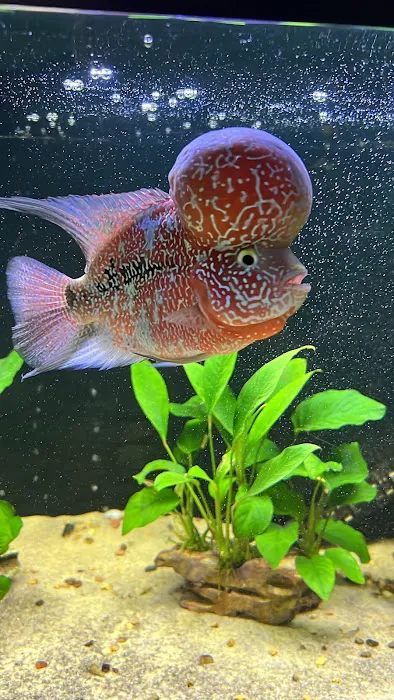 916 Aquatics Picture 4