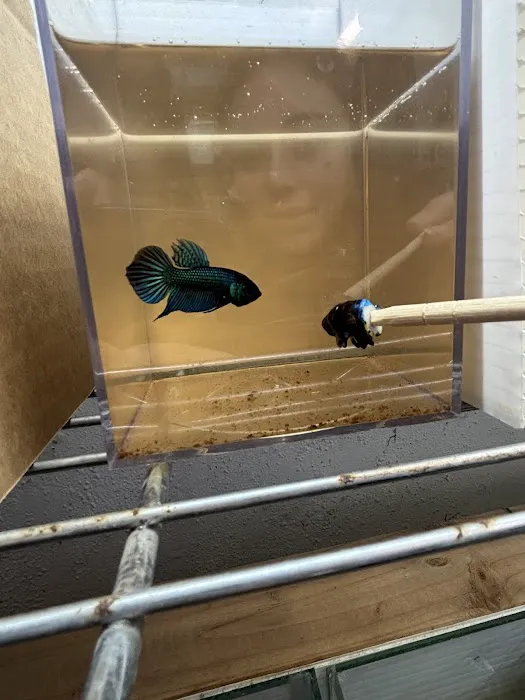 916 Aquatics Picture 5