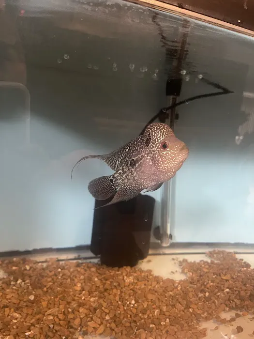 916 Aquatics Picture 6