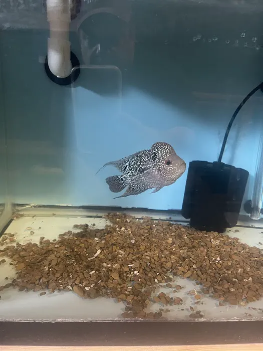 916 Aquatics Picture 7