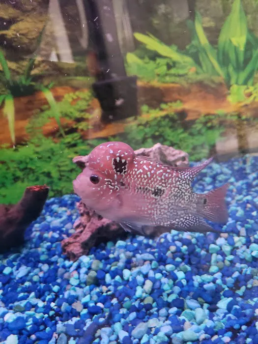 916 Aquatics Picture 10