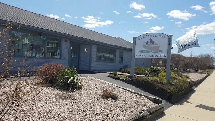 Buzzards Bay Veterinary Associates Picture 2